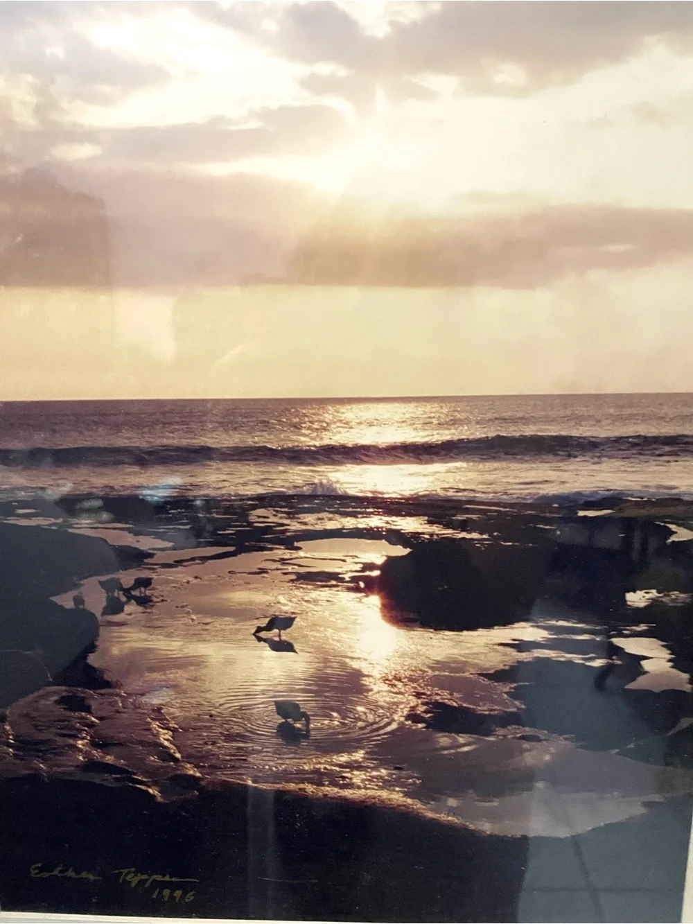 Vintage-signed Sepia photograph-low tide-Tanah Lot-Bali -Indonesia-carved frame